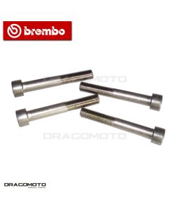 Brembo Schraubensatz 105998709 für Bremssättel